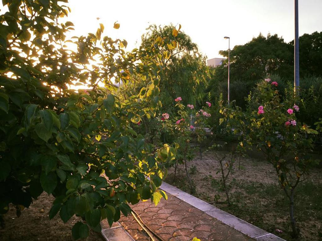 Buon Vento Bed & Breakfast Matera Exterior photo